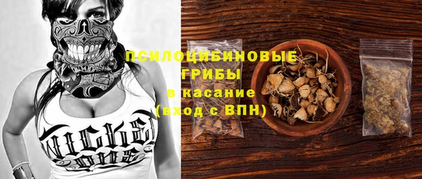 гидропоника Инта